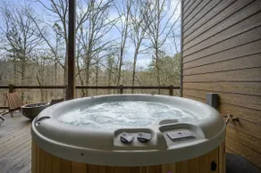 Rincon Cabin | Pool, Hot Tub & Sport Court - Image 4
