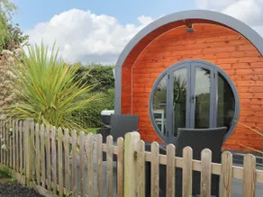 Willow Pod - Image 4