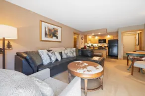 Westwind 208l 1BD 1BA Gold Condo - Image 2