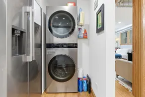 Fully Updated Jr, 1 Bed, Steps from Lincoln Park condo - Image 4