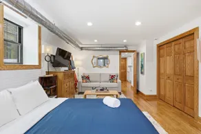 Fully Updated Jr, 1 Bed, Steps from Lincoln Park condo - Image 2