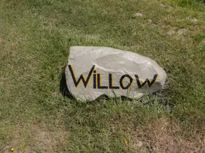 Willow - Image 3