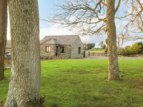 Trem Y Wyddfa - Image 2