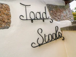 Toadstools - Image 4