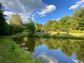 Gorgeous Cabin on 20 acres overlooking pond. - Image 3