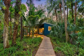 Whispering Woods - Wake Up To The Sounds Of Nature - Image 4