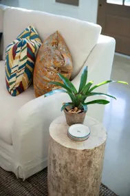 NEW urban cottage, The Vine & Round Top! - Image 5