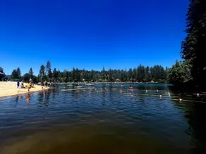 Tranquil 3BR Retreat w/ Pool, Spa & Lake Access - Image 4