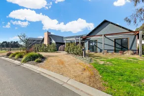 Buller Peeps - Image 3