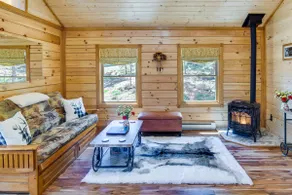 Private Hot Tub & Pond: Conifer Log Cabin - Image 3
