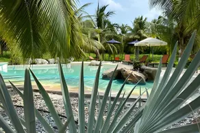 Casa Las Palmas Playa La Saladita - Image 4