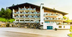 Mini Lodge 10 (Wild Green) - Image 2