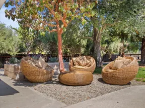 Spacious wine country getaway - Image 4