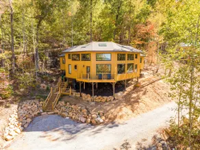 The Mighty Sycamore Treehouse at Treetop Escapes! - Image 5