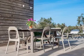 Quattro Volpi Estate - Image 2
