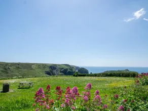 2 Bed in Helston oc-52468 - Image 2