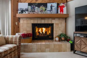 Ski-in, Ski-out Hamlet Village Condo - Nub's Nob - Image 4