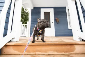 The Blue House on Front Downtown Traverse City - Image 3