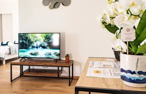 SOTHYS Design Apartment 7 min from Limoges - Image 3