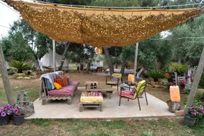 Cocoon Tent in an Olive Grove - Image 3