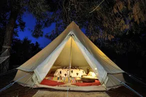 Cocoon Tent in an Olive Grove - Image 2