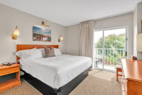 Cape Suites Room 6 - Free Parking! - Image 2