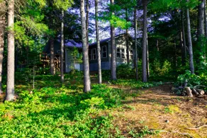 Whispering Pines @ Paradise Cove - Lake Nipissing - Image 2