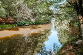 Secluded Creekside Escape w/ Kayaks & Firepit - Image 3