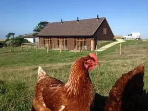 Poachers Hut 1-Bed Cottage Sleeps 2 Pet Friendly - Image 5