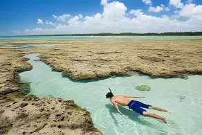 Toca dos Milagres - 200 meters from the sea with wifi - Image 5