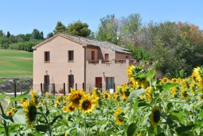 CASA MONTEFIORE 13 farmhouse in the Marche countryside - Image 4