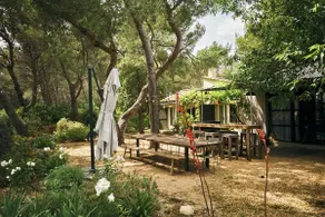 LA PLANQUE DES ALPILLES - Image 2