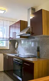 Apartment with south-facing terrace and kitchen (Bonsai Apartment II) - Image 4