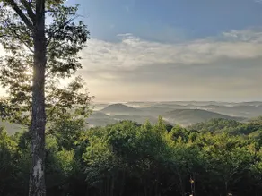 The View - Image 3