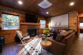 Cozy 3 BR Cedar Mountain Retreat - Fireplace & Spa - Image 4