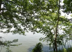 Lake Barkley Townhouse Waterfront | Sleeps 10 - Image 5