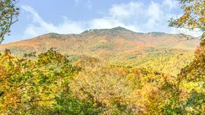 Mountain Modern Blended with Cottage Farmhouse - Image 2