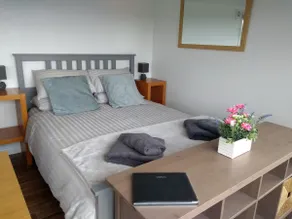Cleeves Cabins, Ailsa Luxury Lodge With hot tub - Image 4