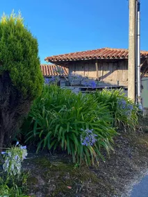 Mirador de Quintana Cottage - Image 4