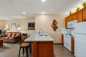 No Resort Fee Pool-View Ski-InOut Ballhooter - Image 4