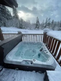 Luxury Black Forest Cabin near Leavenworth - Image 4