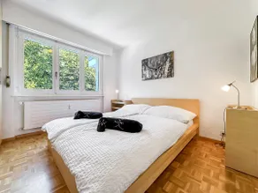 Apartment mit Terrasse, beheiztem Pool und Sauna | Skifahren in der Nähe - Image 4