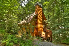 Tiny Creek Cabin | Free Night Offer! - Image 2