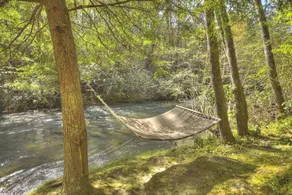 Trout Haven | Creekfront + Hot Tub + Fishing - Image 4