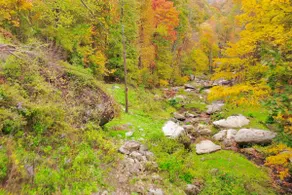 Private Waterfalls, Creek, Fire Pits, Hot Tub, Private Hiking & Level 2 Charging - Image 3