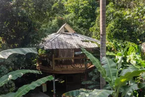 Tiki Jungle Treehouse - Image 5