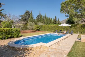 La Palmera - Image 2