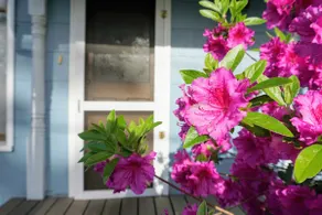 Ruth's Cottage: Cozy Farmhouse in Downtown Carlton - Image 4