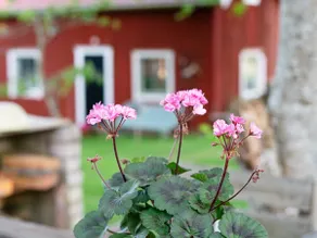 4 star holiday home in Nässjö - Image 4