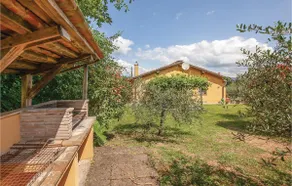 Polla - Image 5